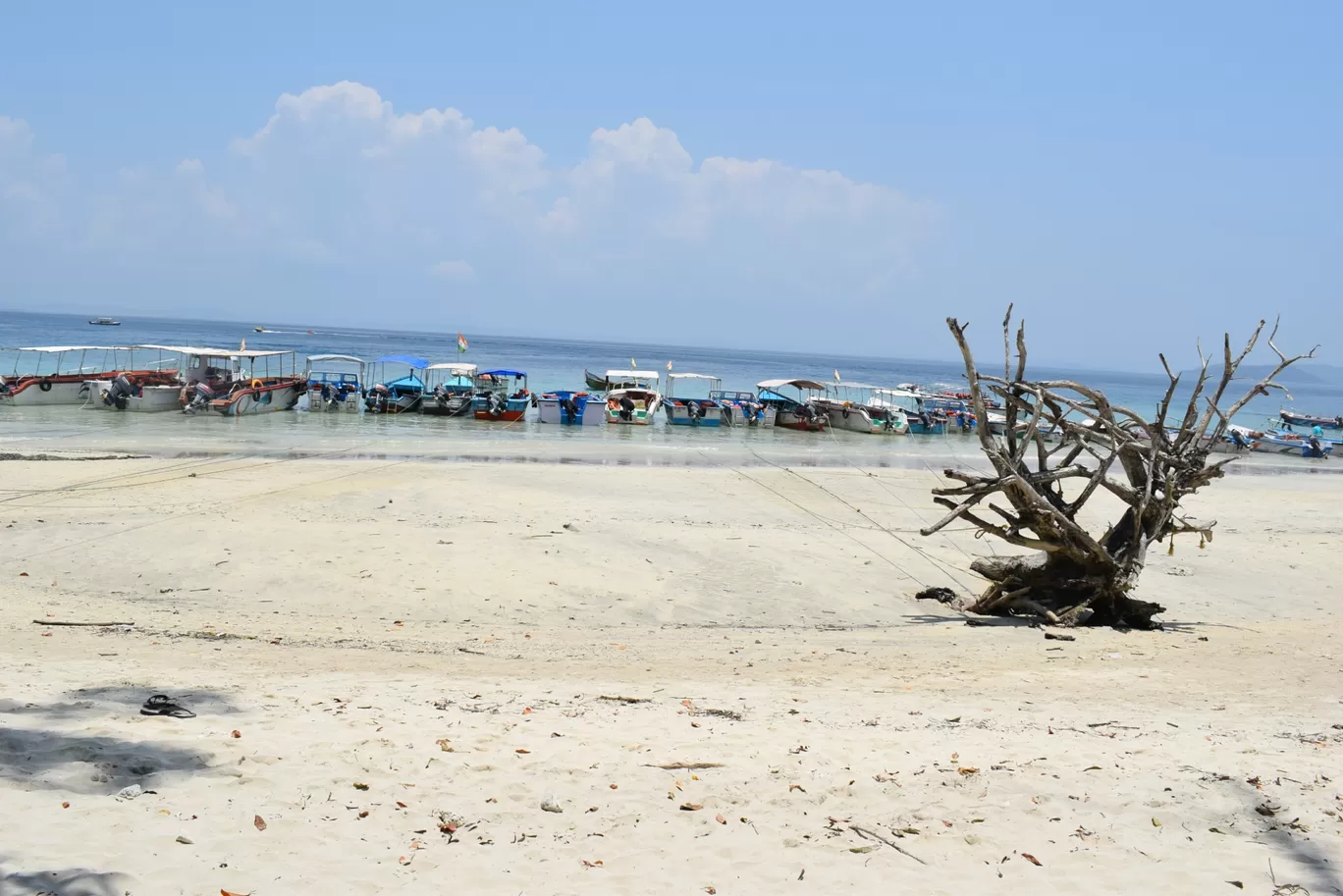 Photo of Havelock Island By Urvashi Rana