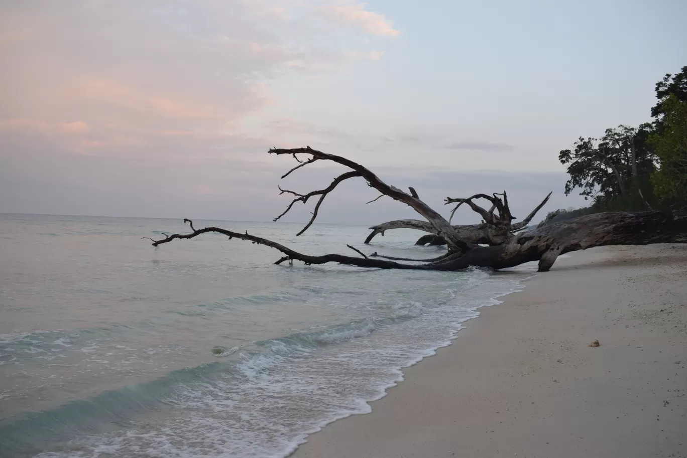 Photo of Havelock Island By Urvashi Rana