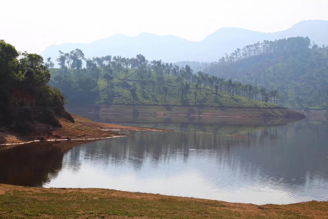 Photo of Munnar Hill Station By The Talking Bee - Sneha Dalvi