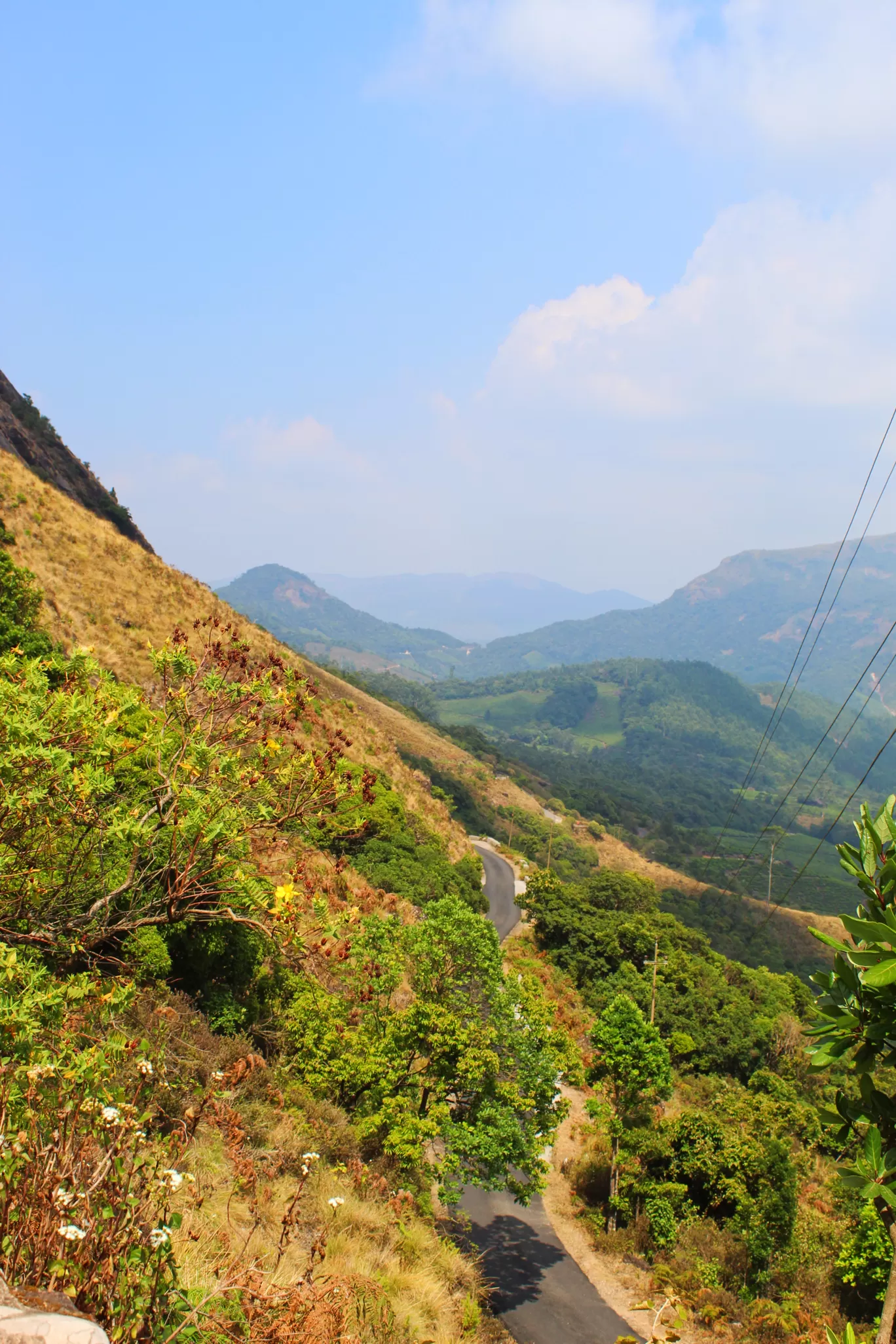 Photo of Munnar Hill Station By The Talking Bee - Sneha Dalvi