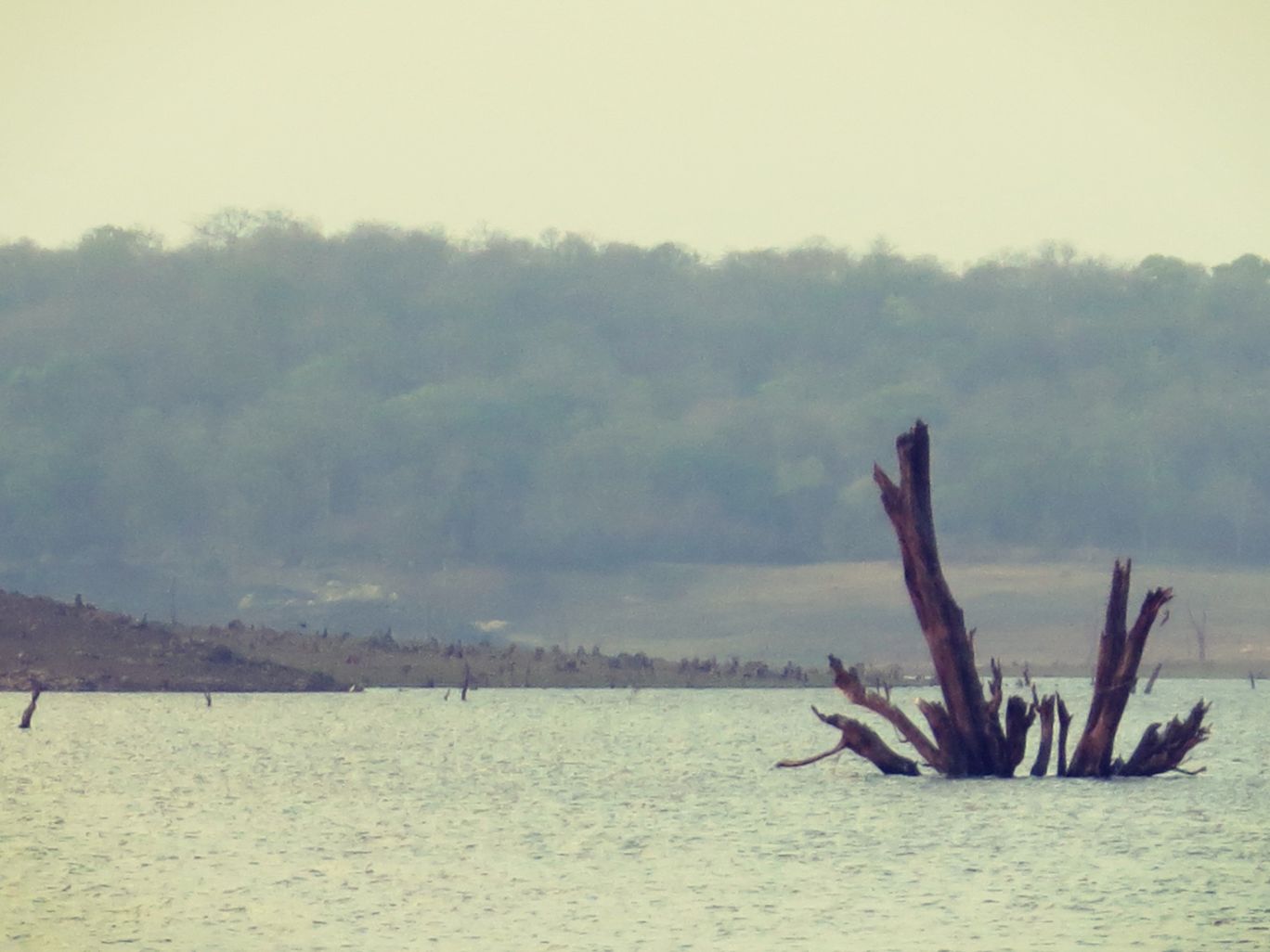 Photo of Rented Car, Old Pals, The Aroma of Coffee, Backwaters...Coorg By Permissive Mind, Restless Feet