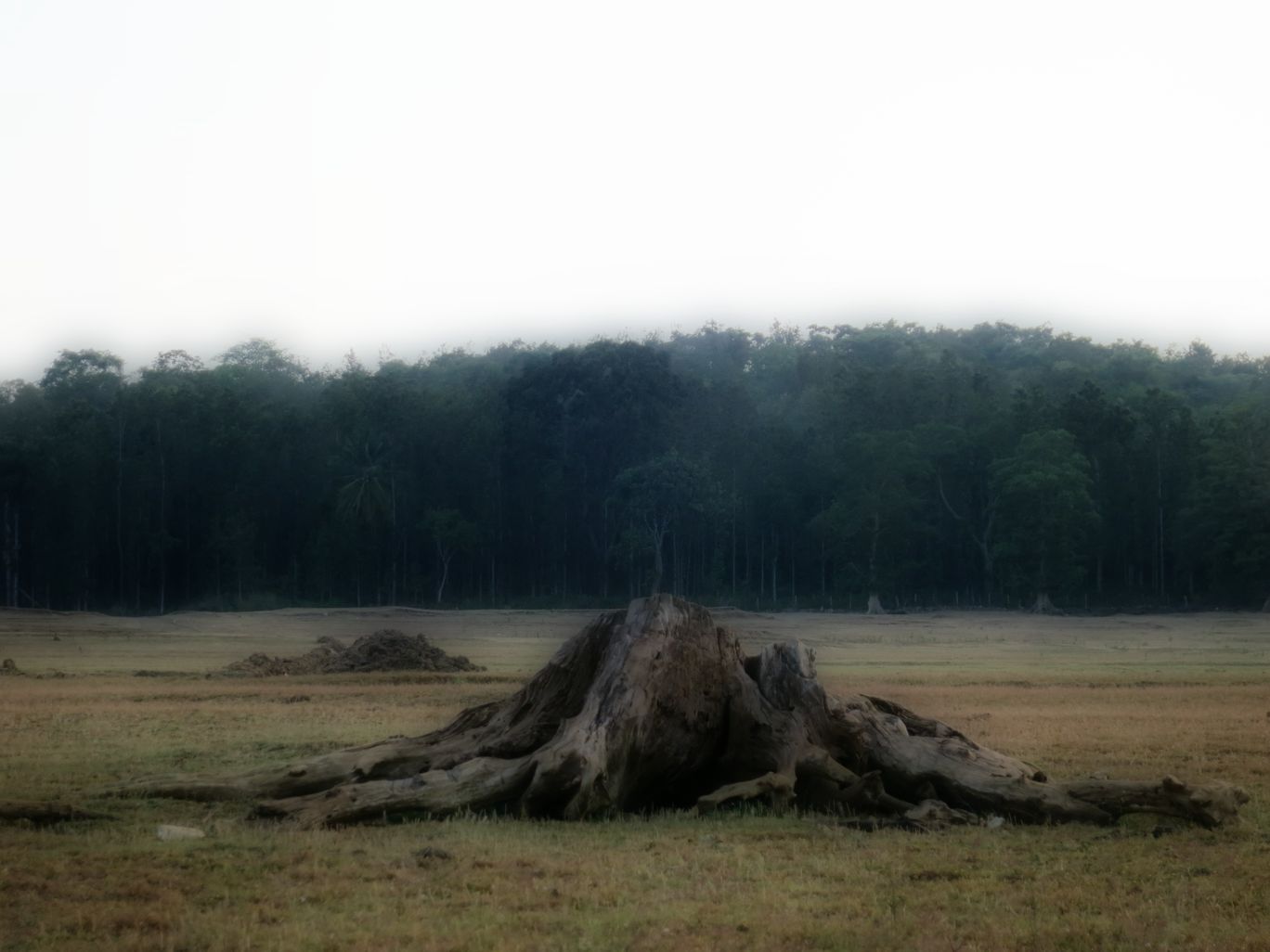 Photo of Rented Car, Old Pals, The Aroma of Coffee, Backwaters...Coorg By Permissive Mind, Restless Feet