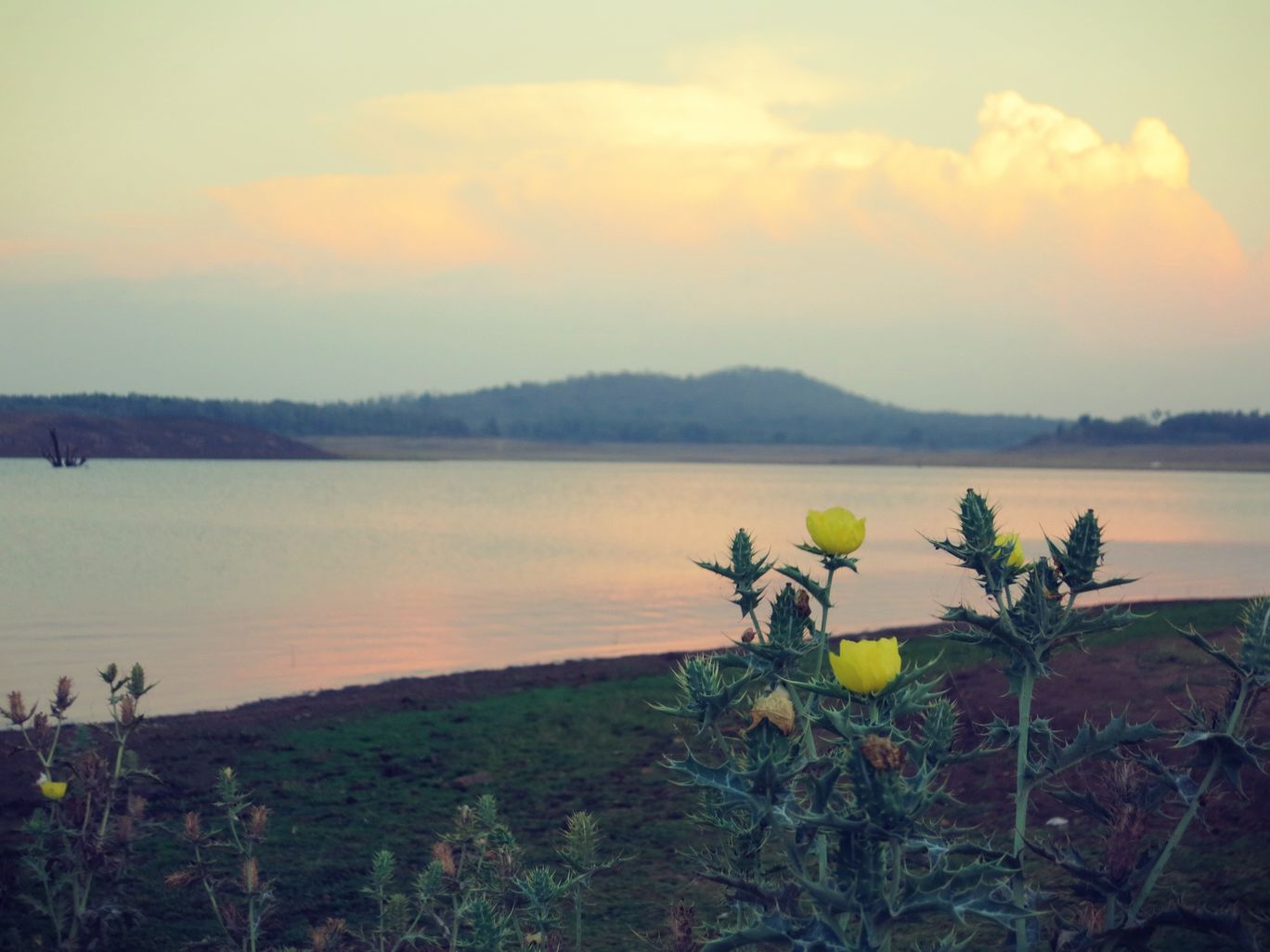 Photo of Rented Car, Old Pals, The Aroma of Coffee, Backwaters...Coorg By Permissive Mind, Restless Feet