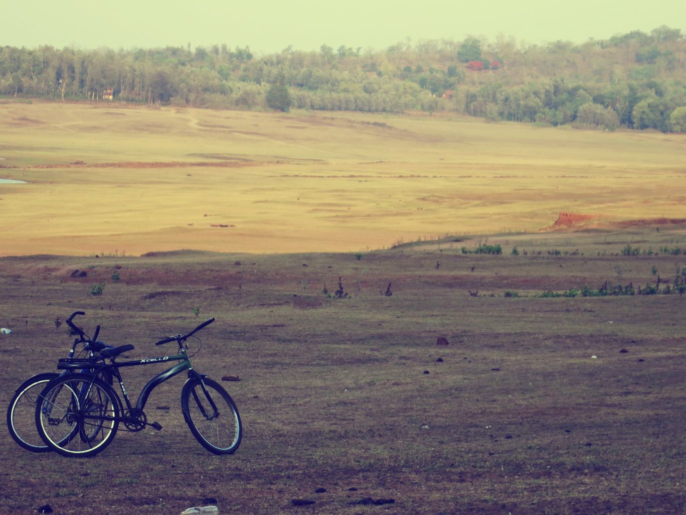 Photo of Rented Car, Old Pals, The Aroma of Coffee, Backwaters...Coorg By Permissive Mind, Restless Feet
