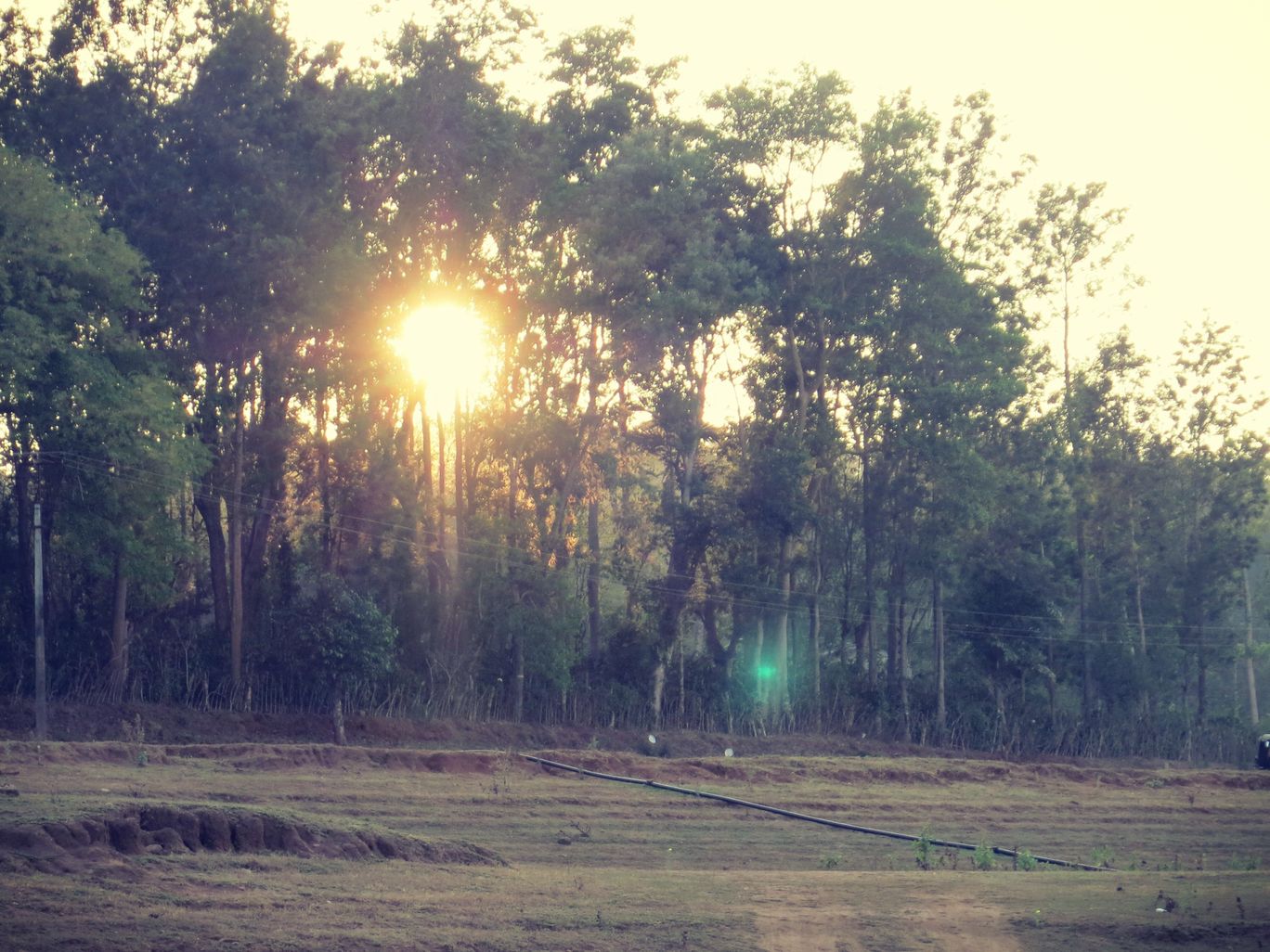 Photo of Rented Car, Old Pals, The Aroma of Coffee, Backwaters...Coorg By Permissive Mind, Restless Feet