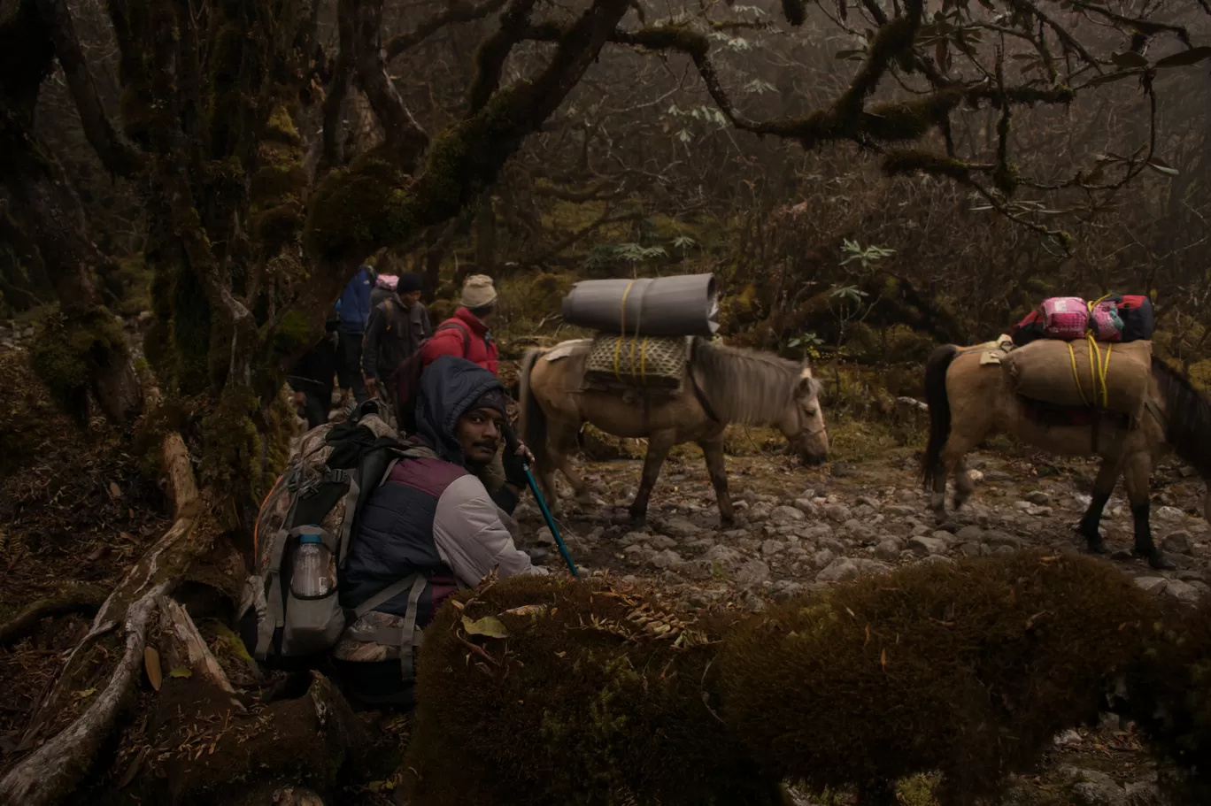 Photo of Goecha La Trek By Pramod Reddy