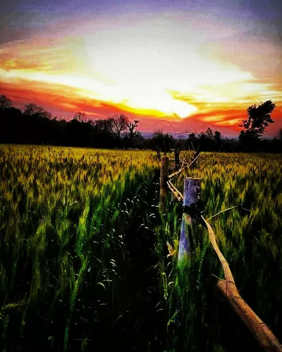 Photo of Kangra By Kunwar Vishal Singh