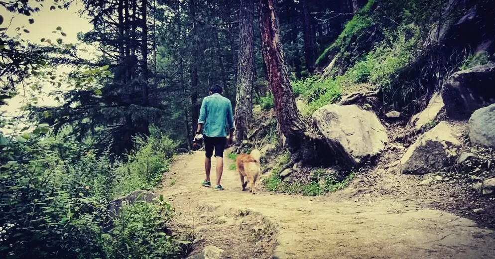 Photo of Kangra By Kunwar Vishal Singh
