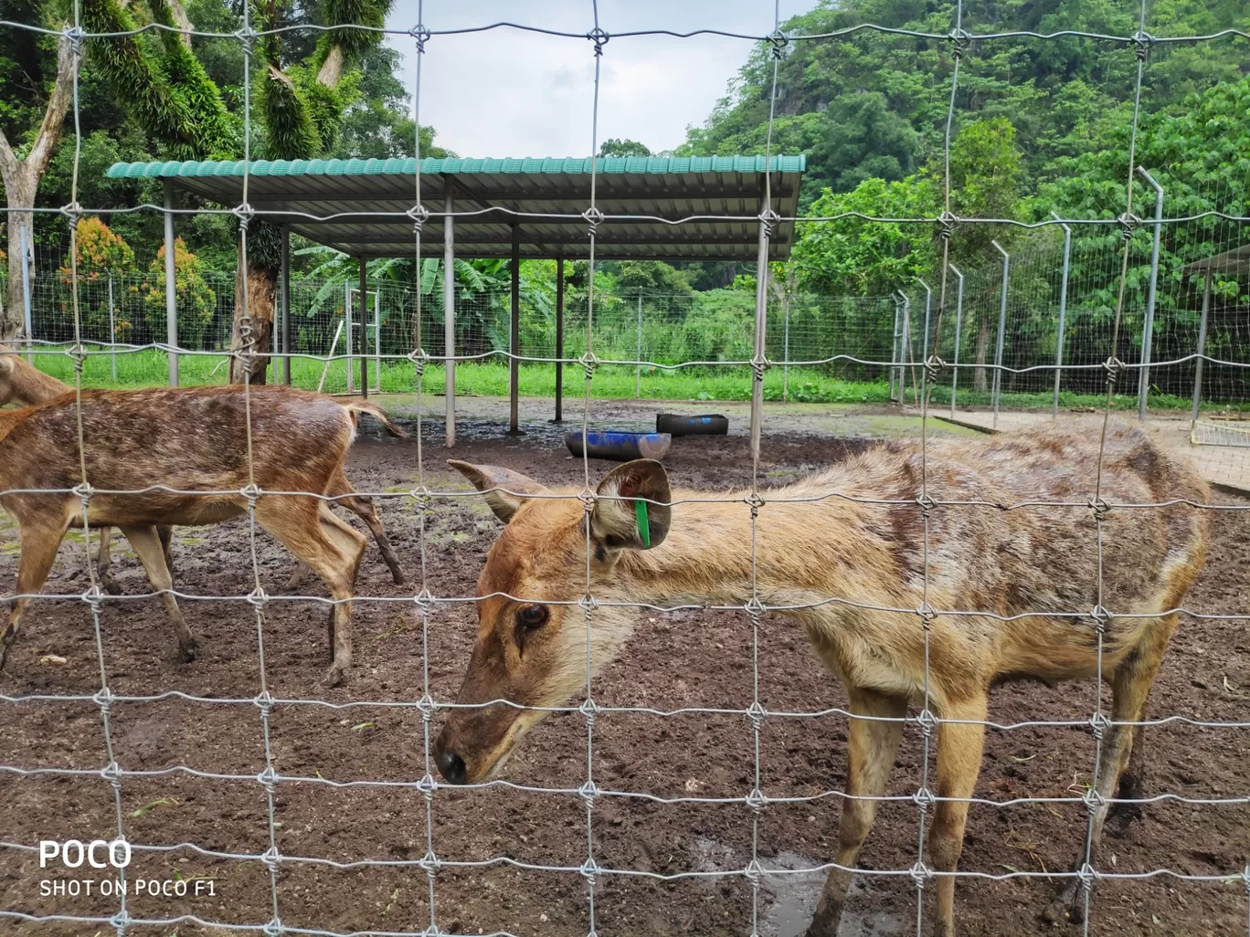 Photo of Malaysia By Moses Christopher