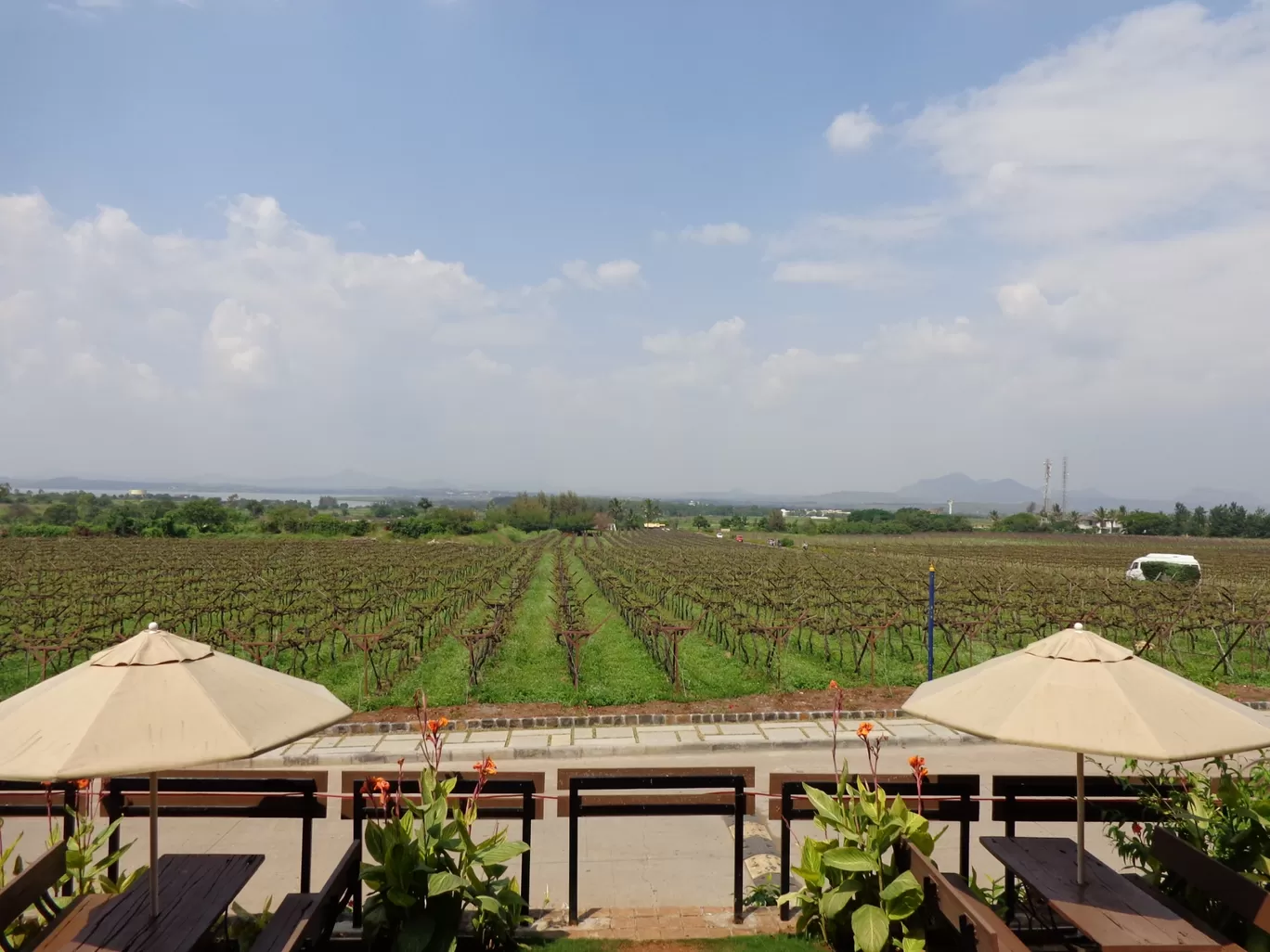 Photo of Sula Vineyards By Gypsytipsytoes