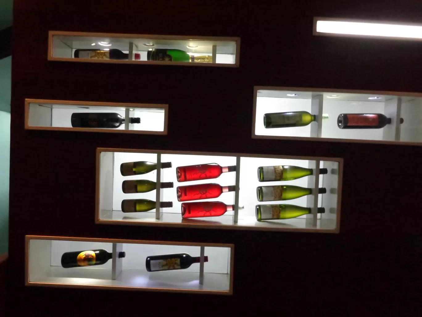 Photo of Sula Vineyards By Gypsytipsytoes