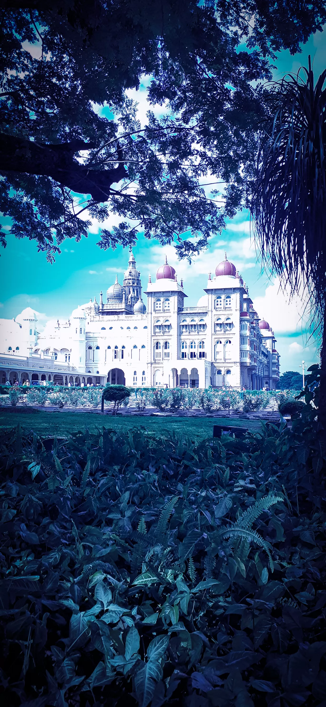Photo of Mysuru By Tamanna Arora