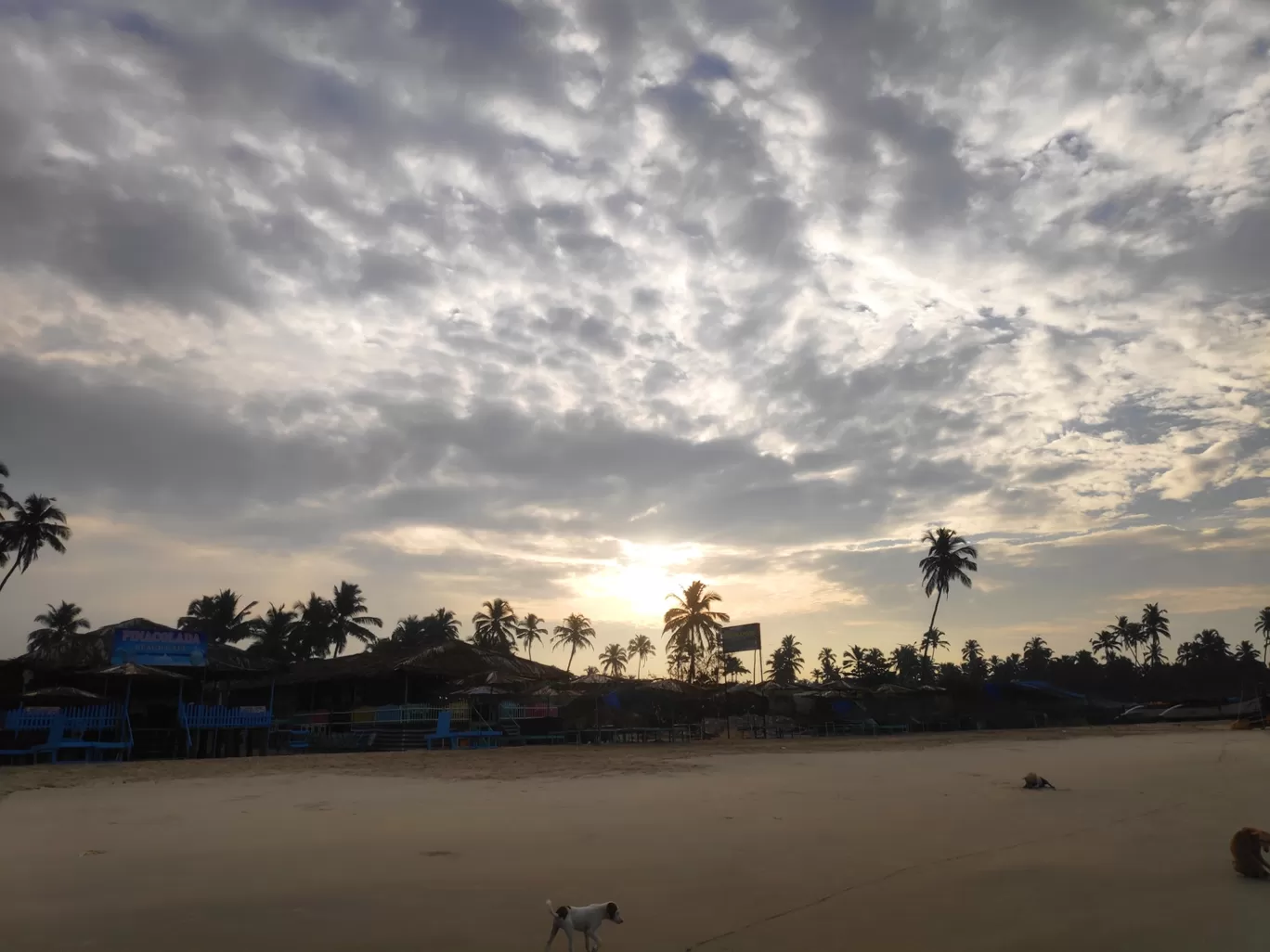Photo of Colva Beach By Kushaal Singla