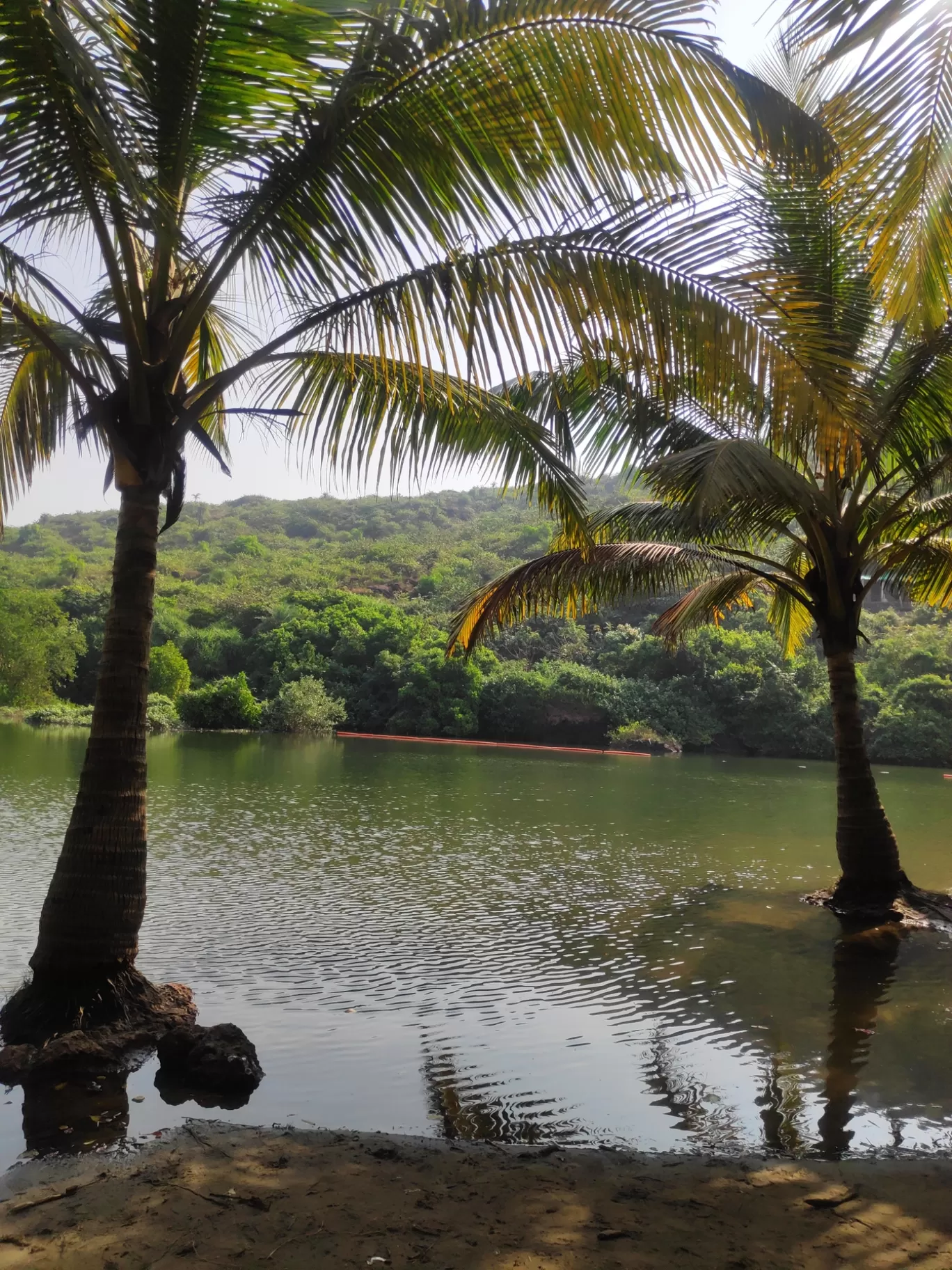 Photo of Arambol By Kushaal Singla