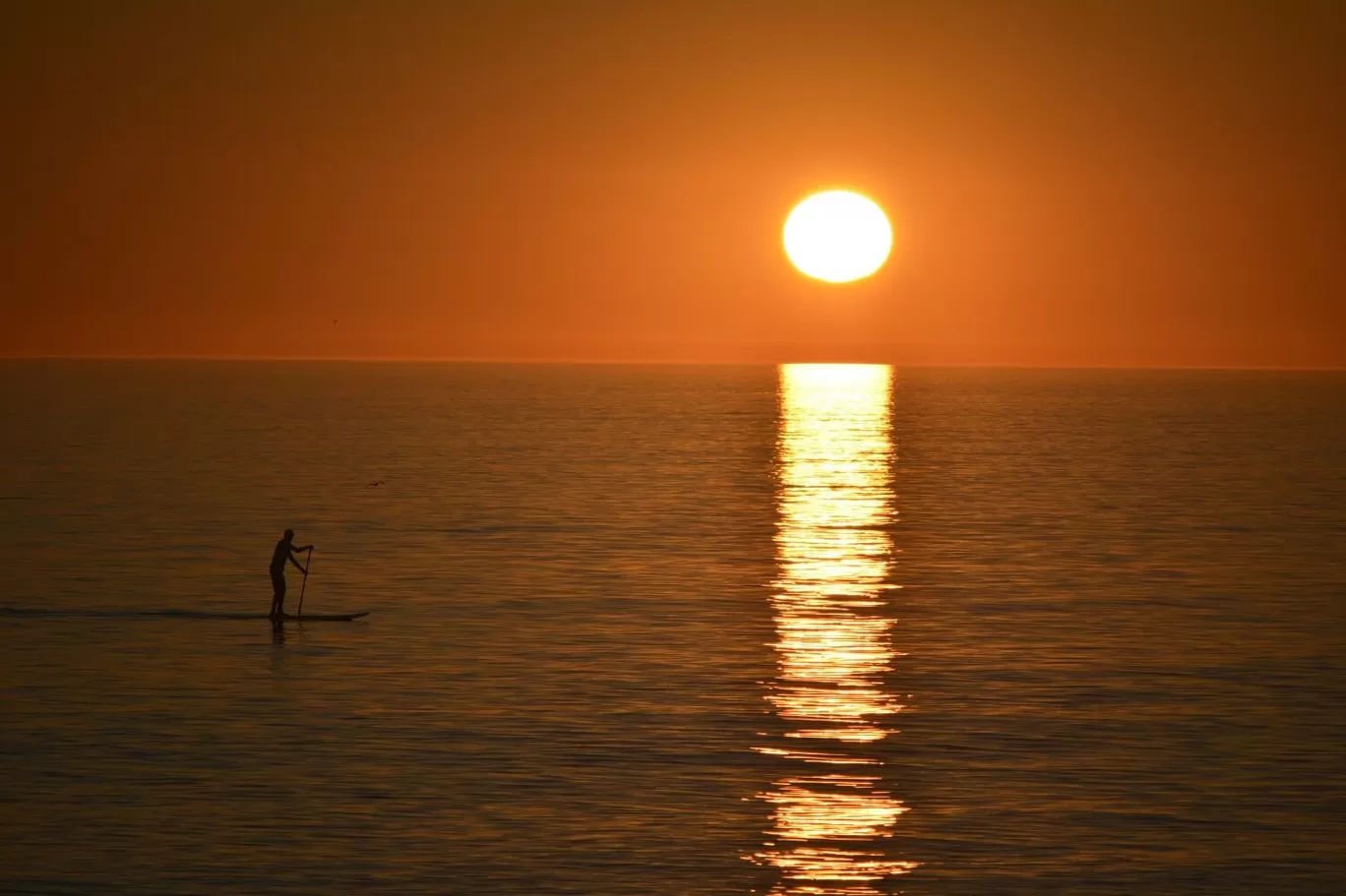 Photo of South Australia By Dheeraj Balla