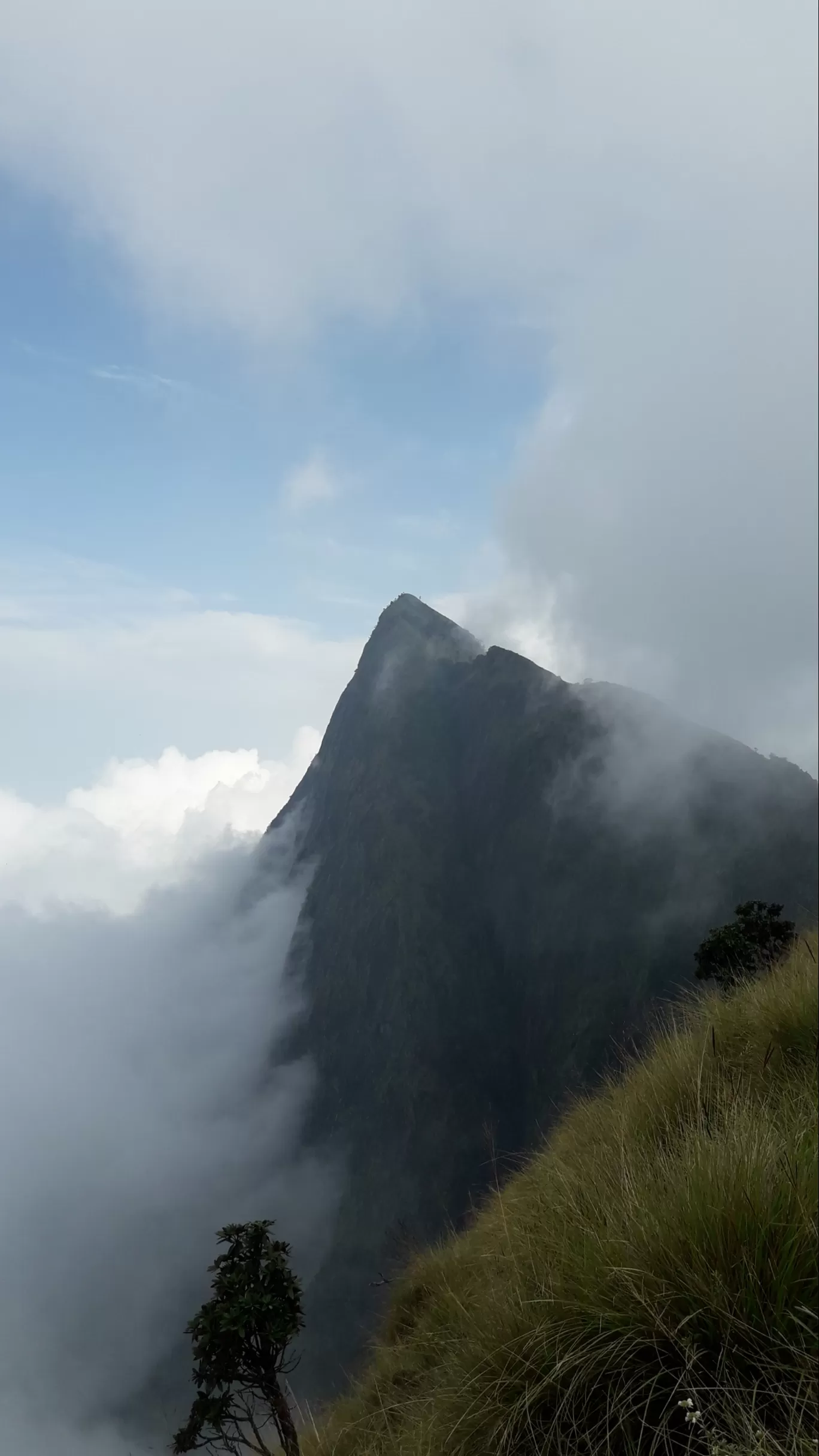 Photo of Munnar By Anantha Padmanabhan M 