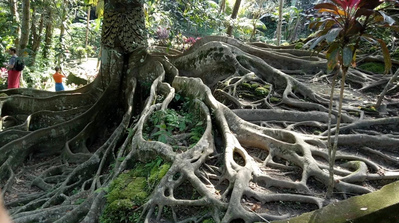 Photo of Bali By Ashutosh Garg