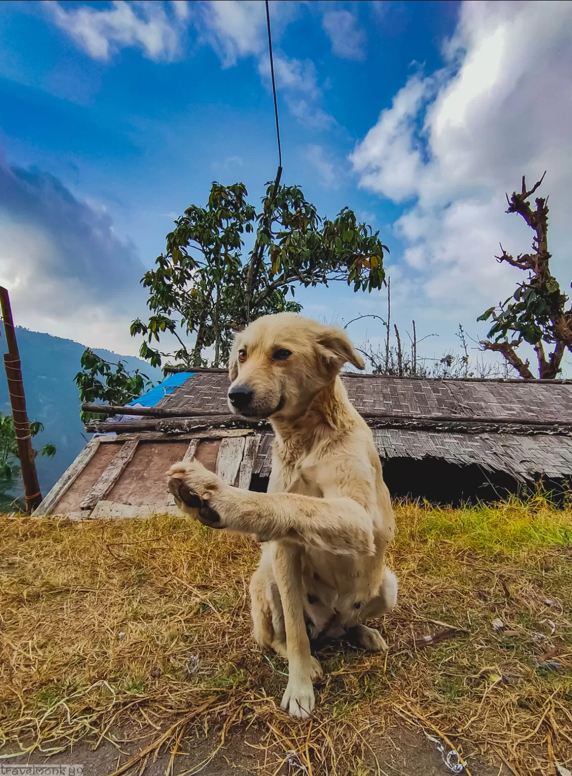 Photo of Kolakham By Srijib Roy