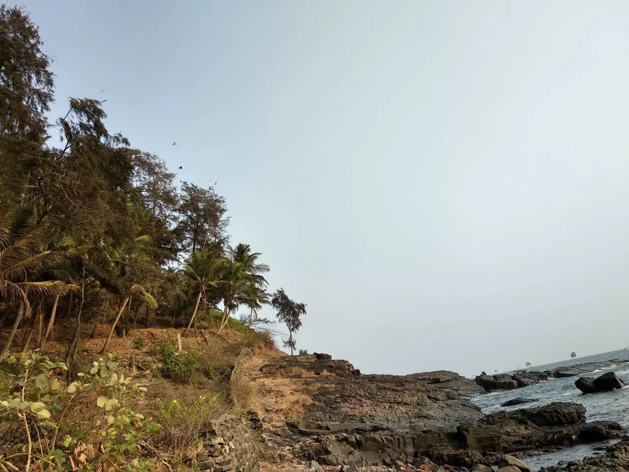 Photo of Goa By Subhojit Bhattacharya
