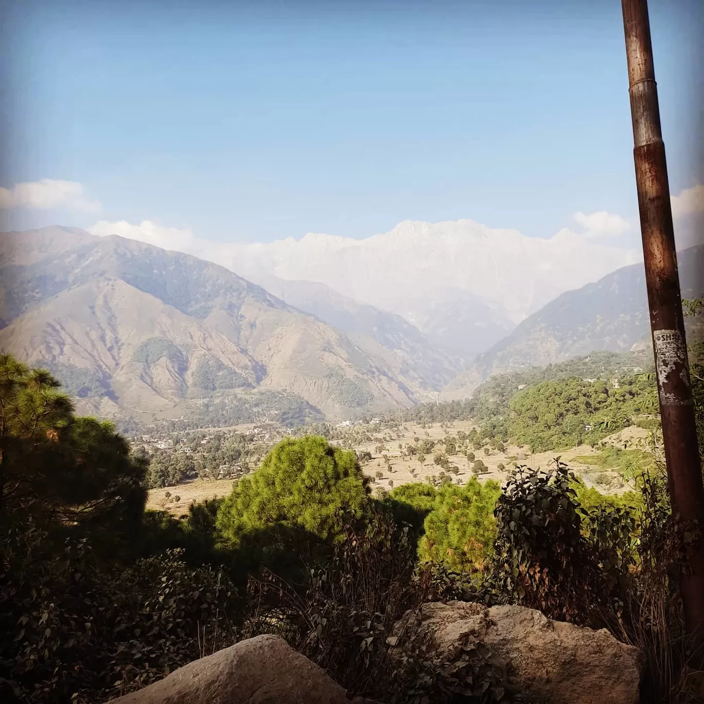 Photo of Jia By Roopali Katoch