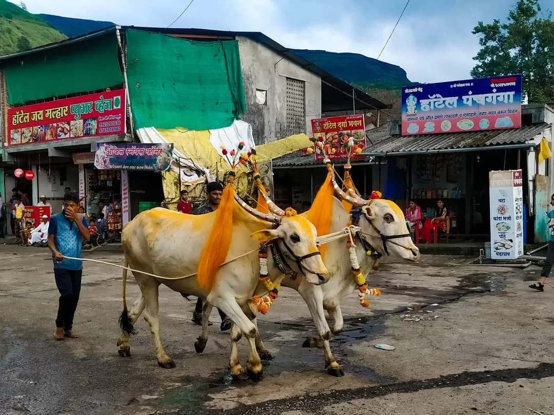 Photo of Visapur By Swati Joshi