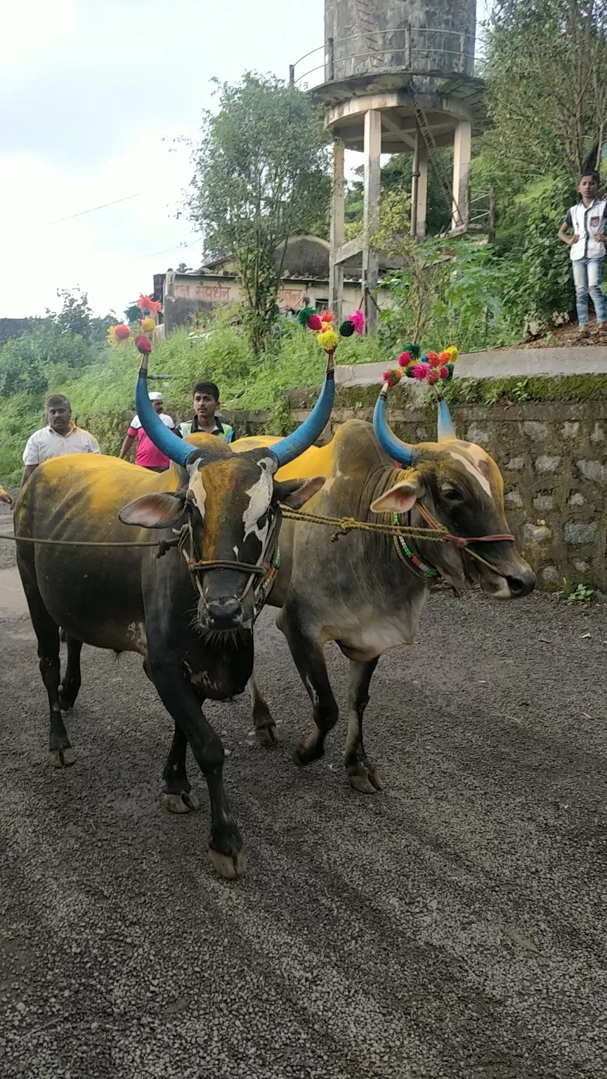 Photo of Visapur By Swati Joshi