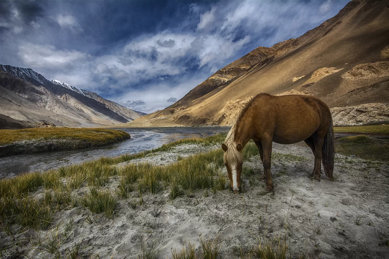 Photo of Changthang Cold Desert Wildlife Sanctuary By Wasim Salim