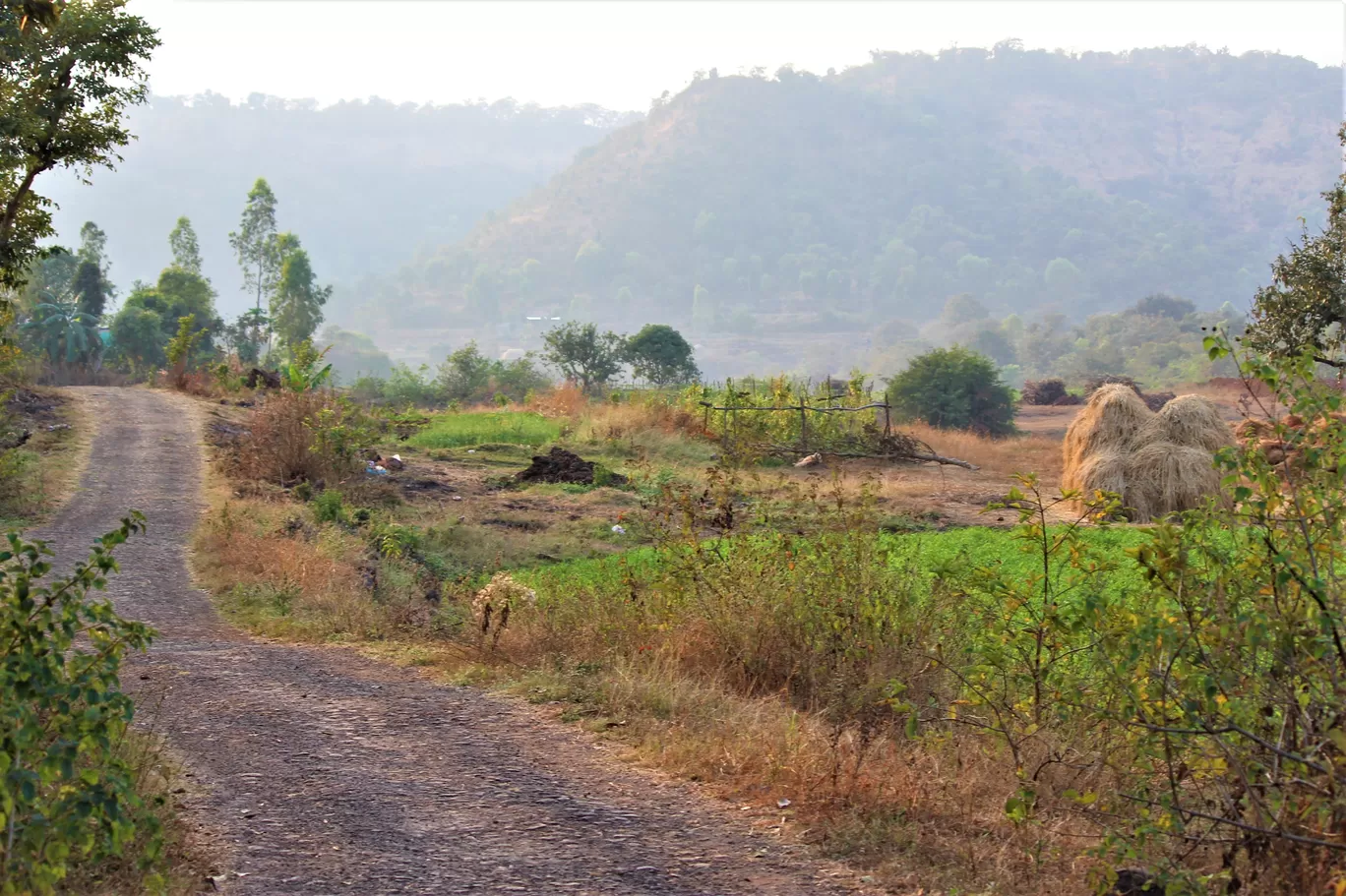 Photo of Purushwadi Village By Oindrila Soni