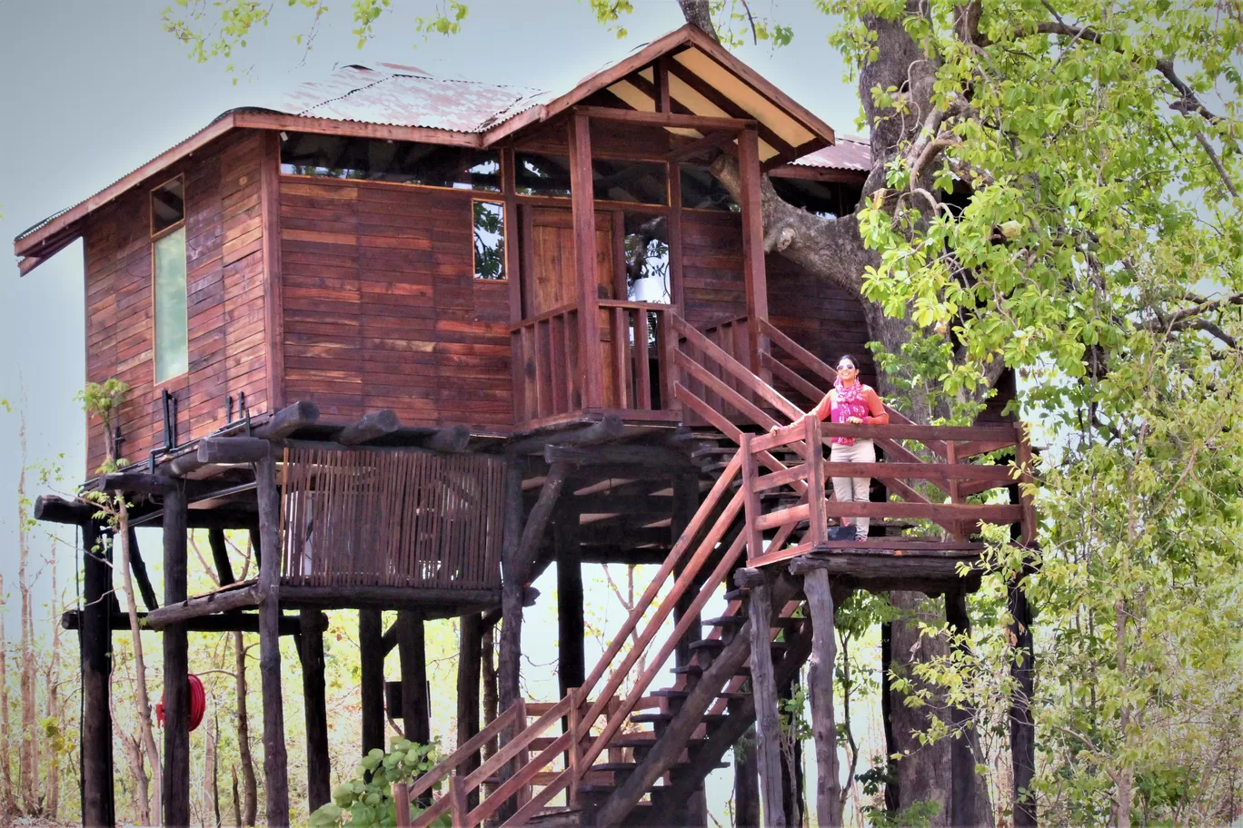 Photo of Pench Tree Lodge By Oindrila Soni