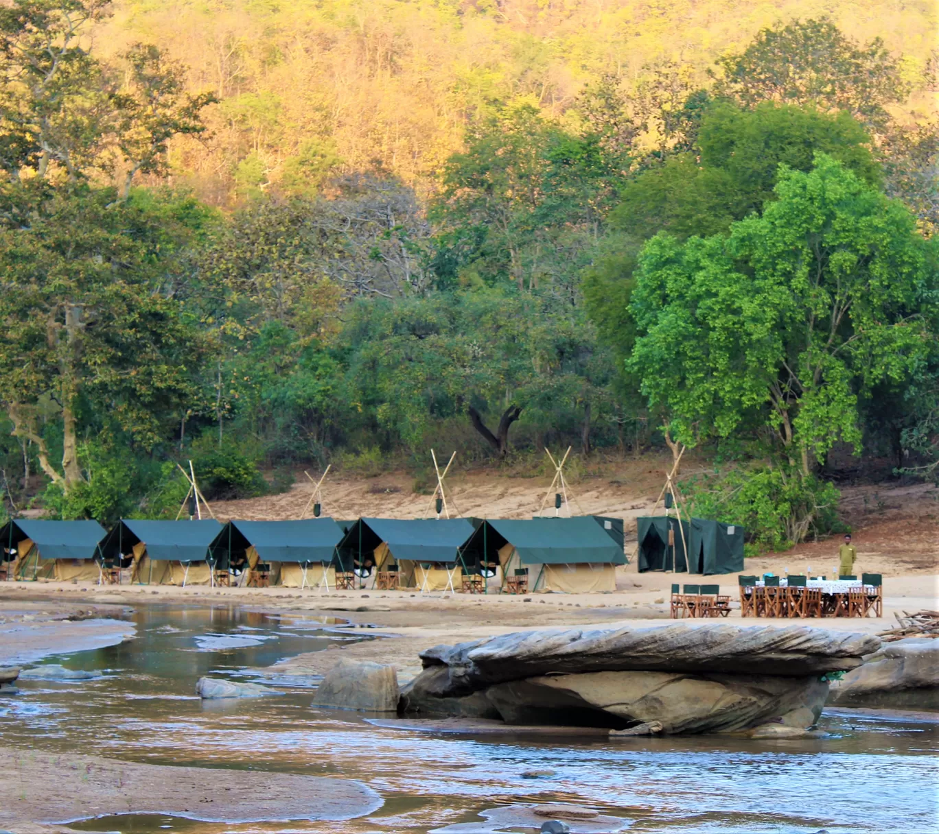 Photo of Satpura Tiger Reserve By Oindrila Soni