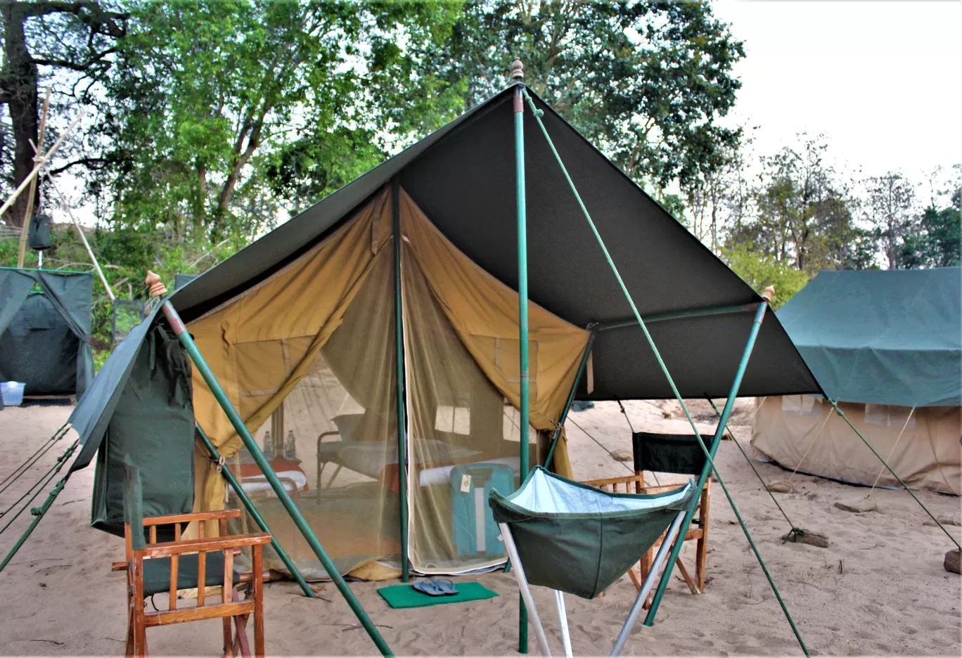 Photo of Satpura Tiger Reserve By Oindrila Soni