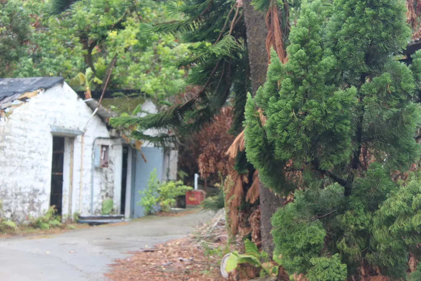 Photo of Ngong Ping Village By Oindrila Soni