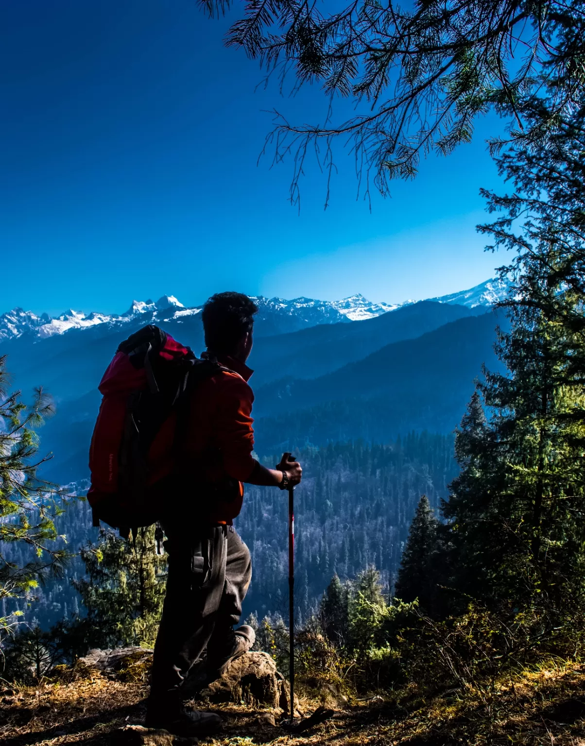 Photo of Kedarkantha By Avikalp Jha