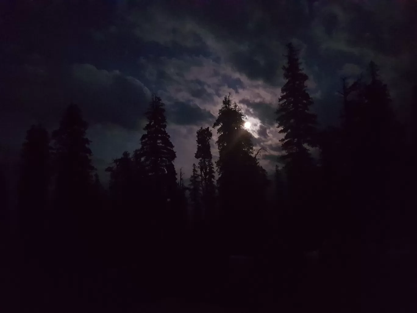 Photo of Kedarkantha By Avikalp Jha