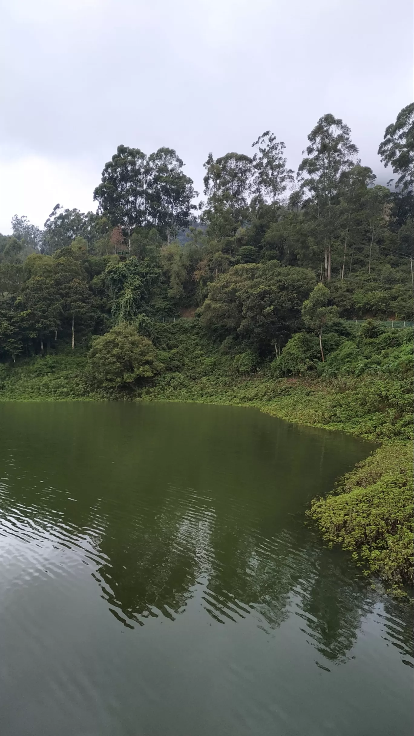 Photo of Munnar By Suraj Shah