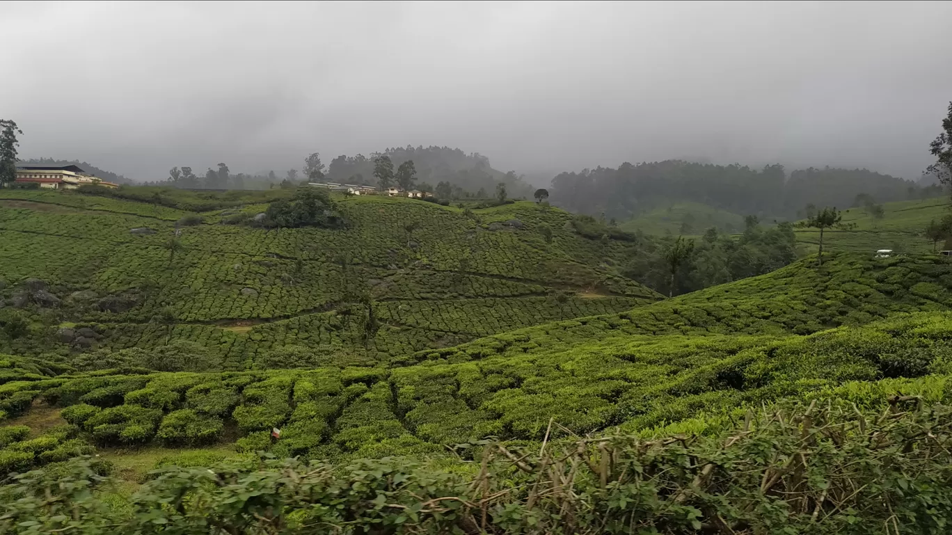 Photo of Munnar By Suraj Shah