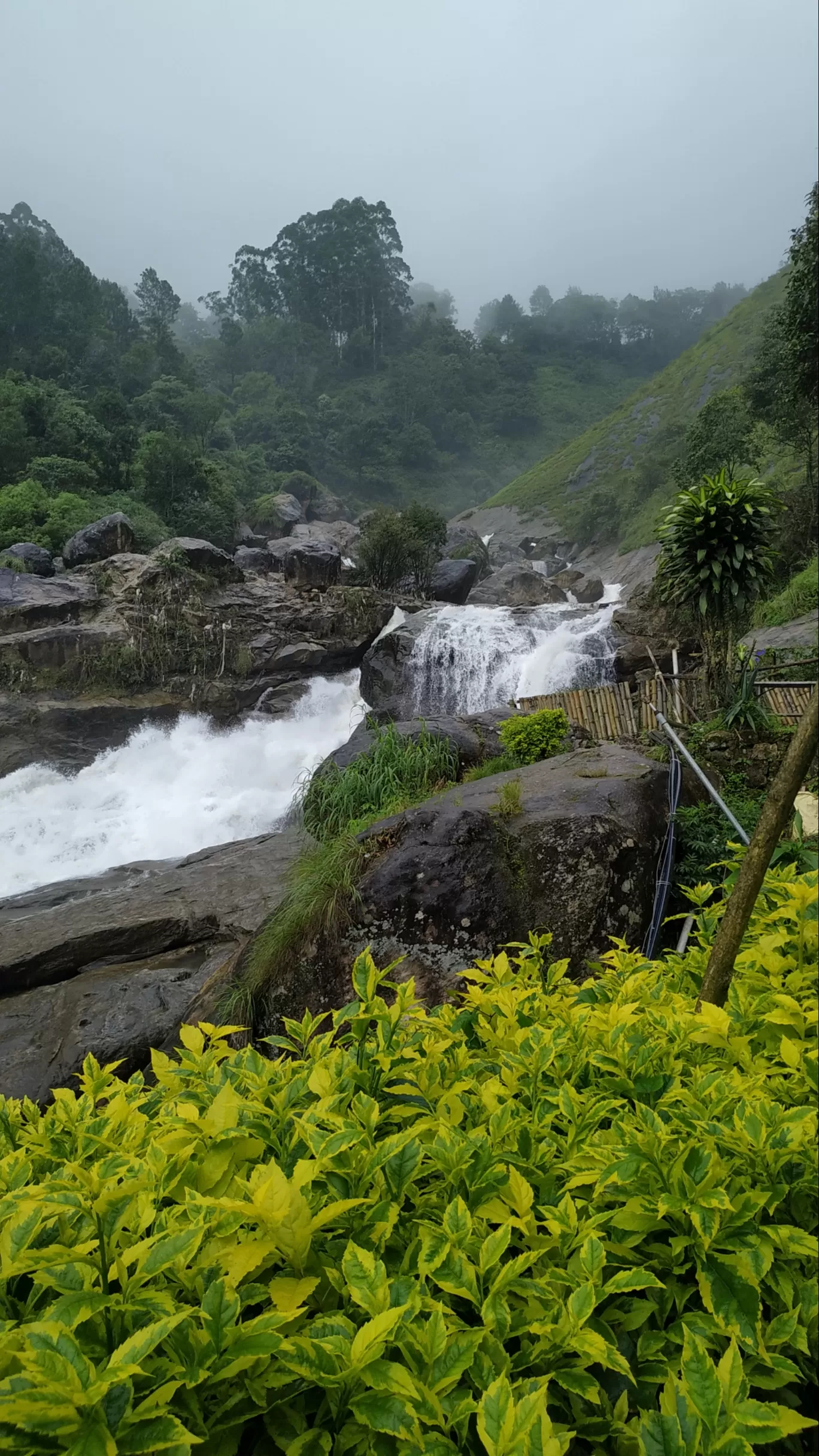Photo of Munnar By Suraj Shah