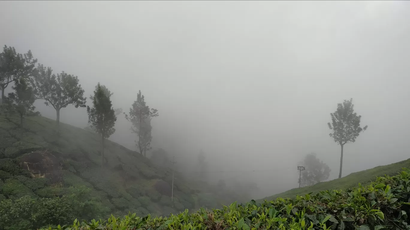 Photo of Munnar By Suraj Shah