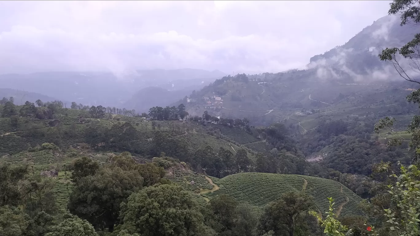 Photo of Munnar By Suraj Shah