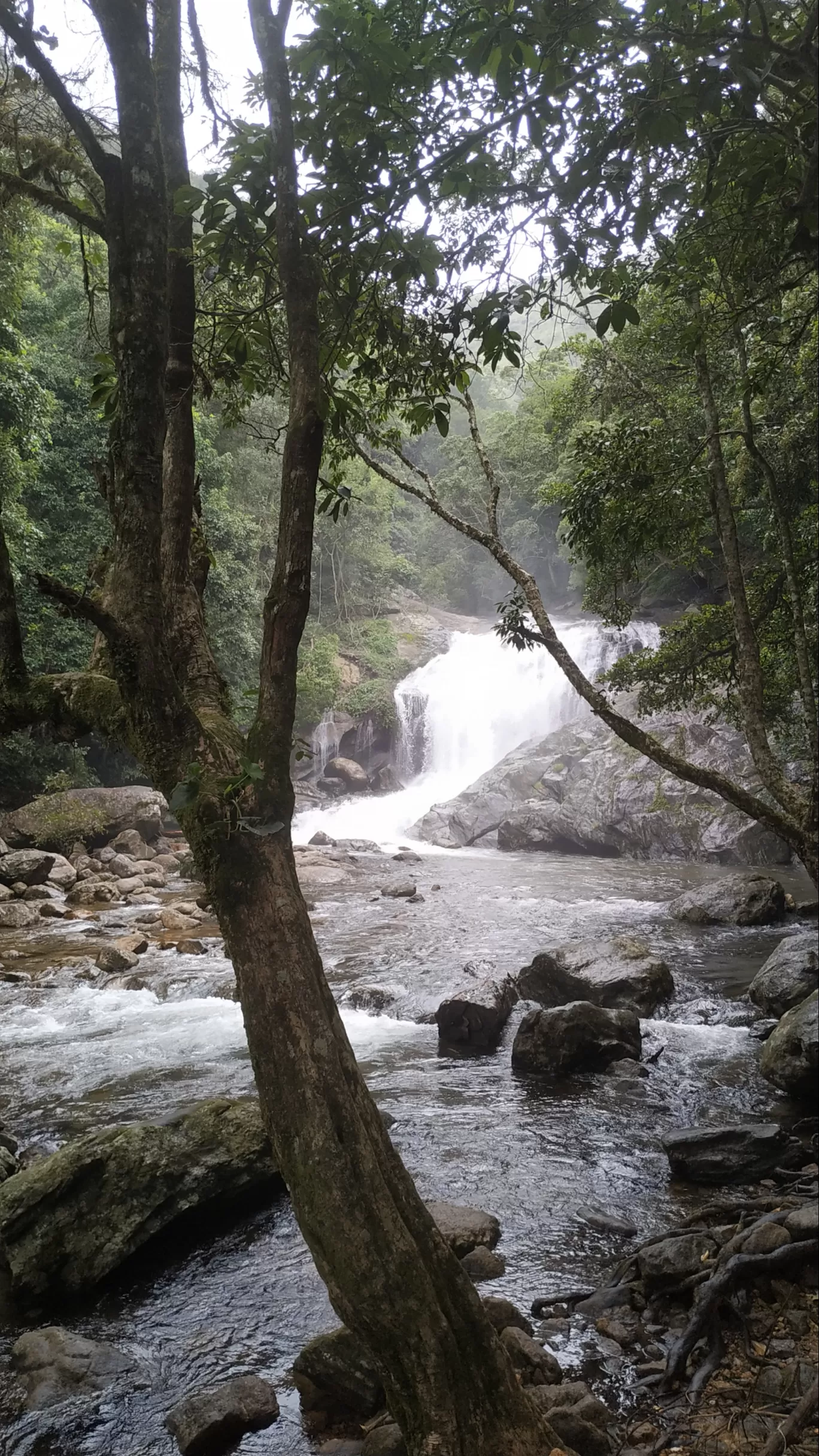 Photo of Munnar By Suraj Shah