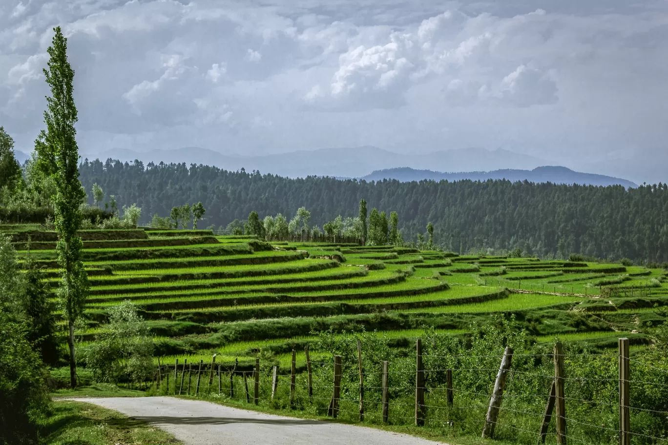 Photo of Baramulla - Gulmarg Road By KaranVeer Monga