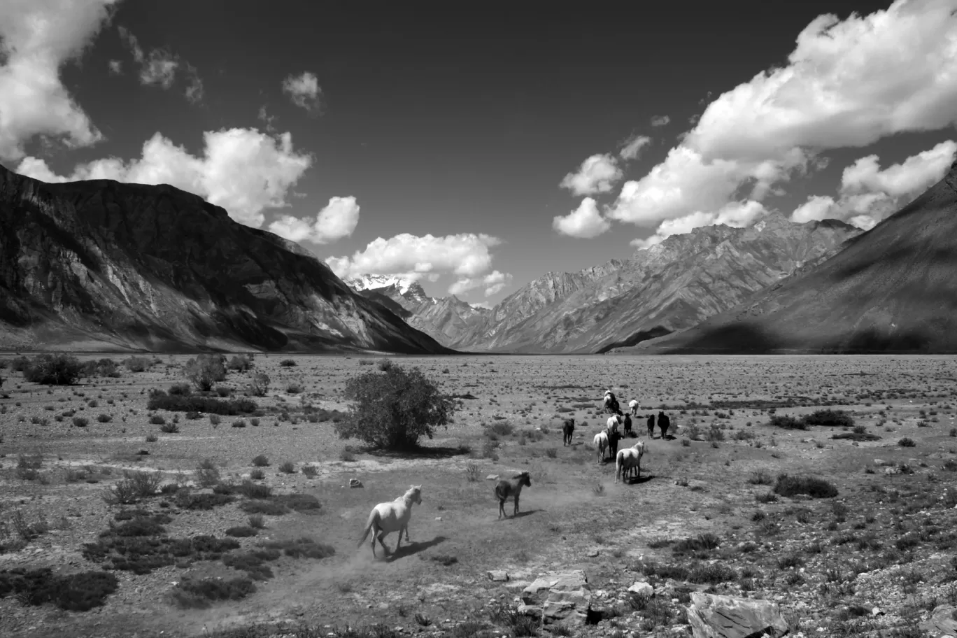 Photo of Zanskar By Sarab Jit Singh