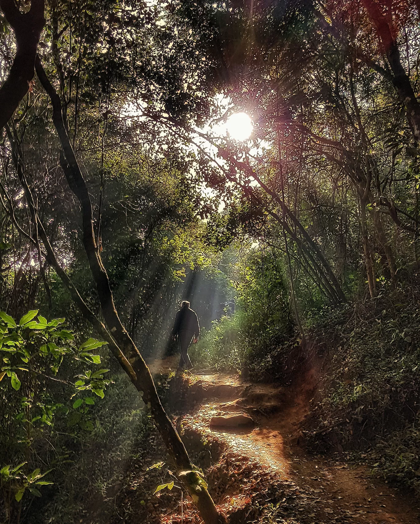 Photo of Chembra Peak By Ruchi