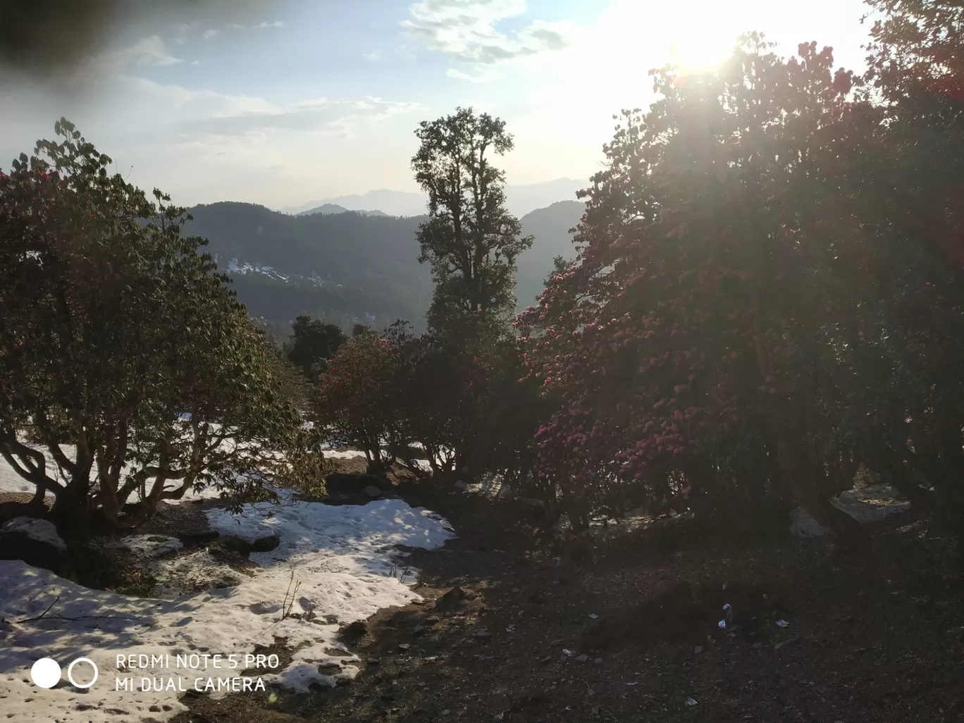 Photo of Tungnath Temple By Himanshu Singh