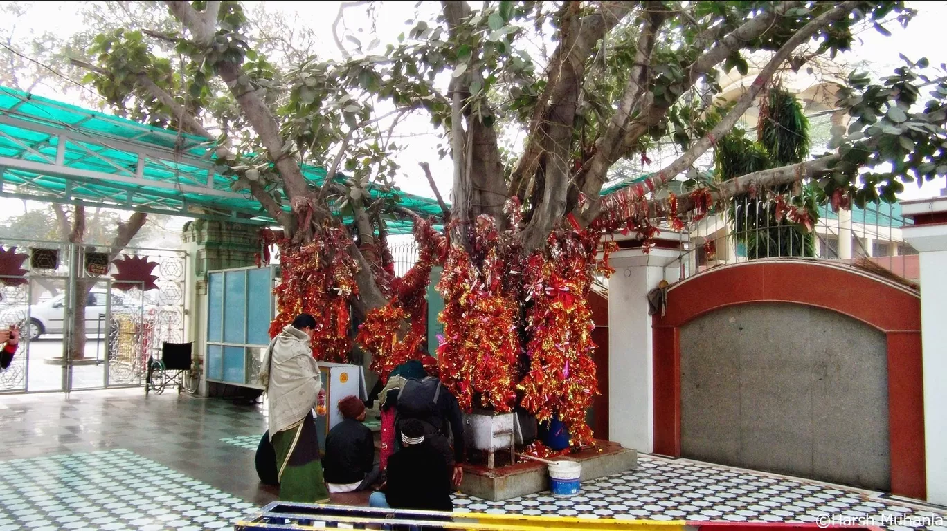 Photo of Shree Adya Katyayani Shaktipeeth Mandir Chhatarpur By Harsh Muhania