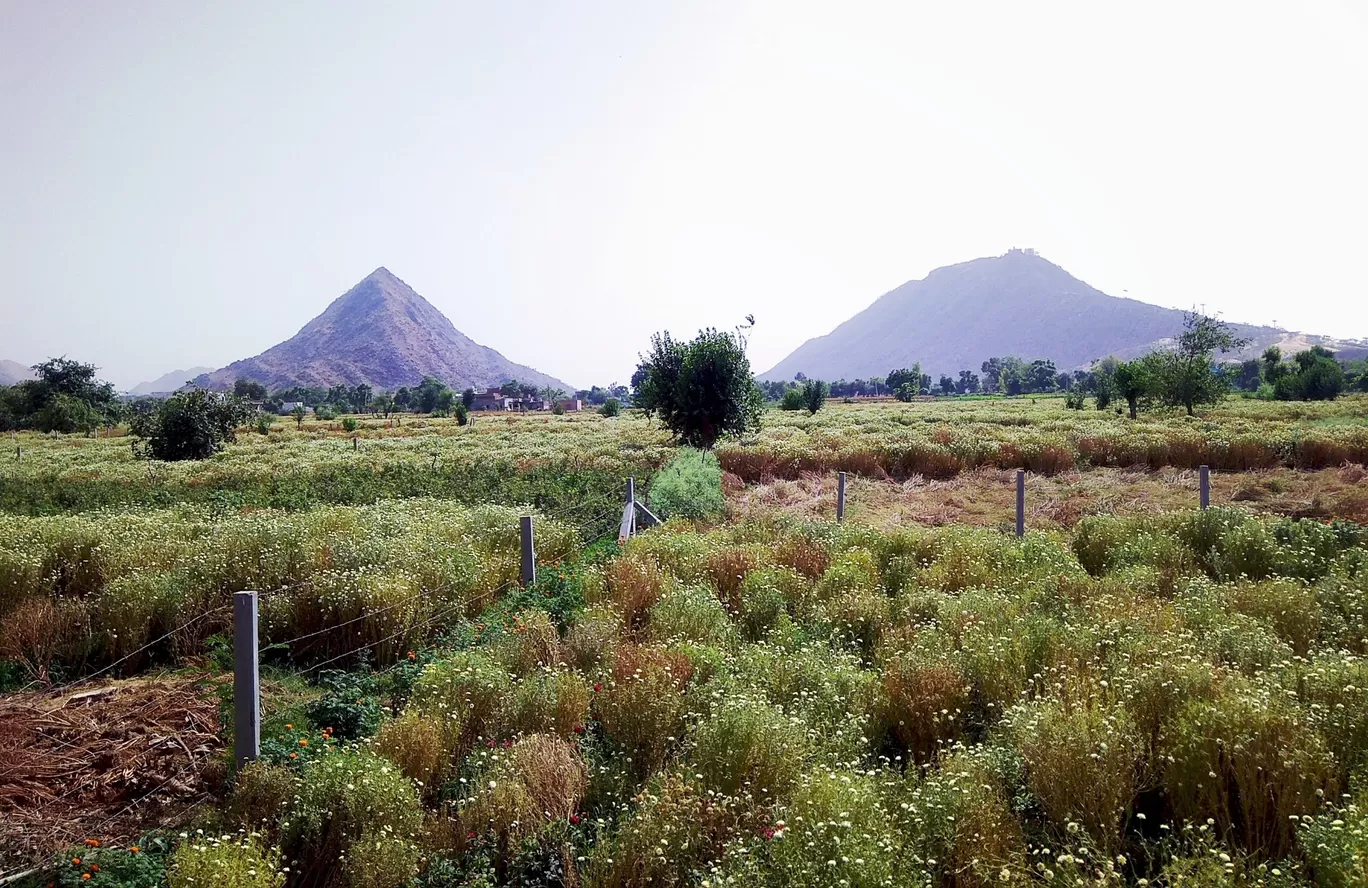 Photo of THE COUNTRY SIDE RESORT By Divya Golyan