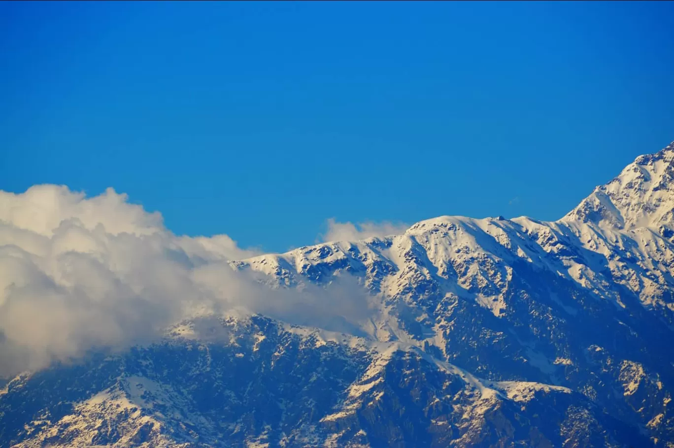 Photo of 20b By Bhavya Tejwani