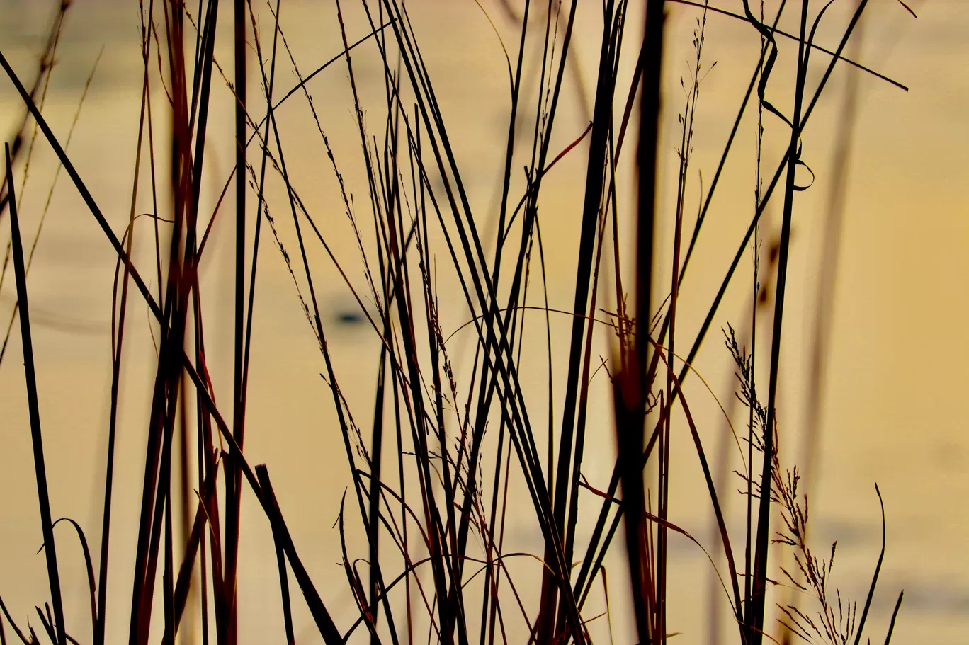 Photo of Sultanpur National Park By avantika karwasara