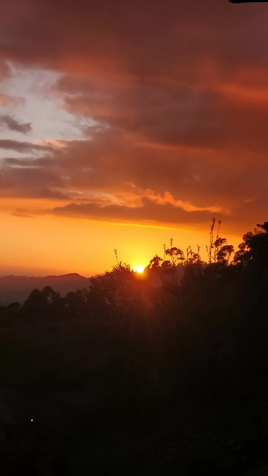 Photo of Munnar By Sushma Shetty