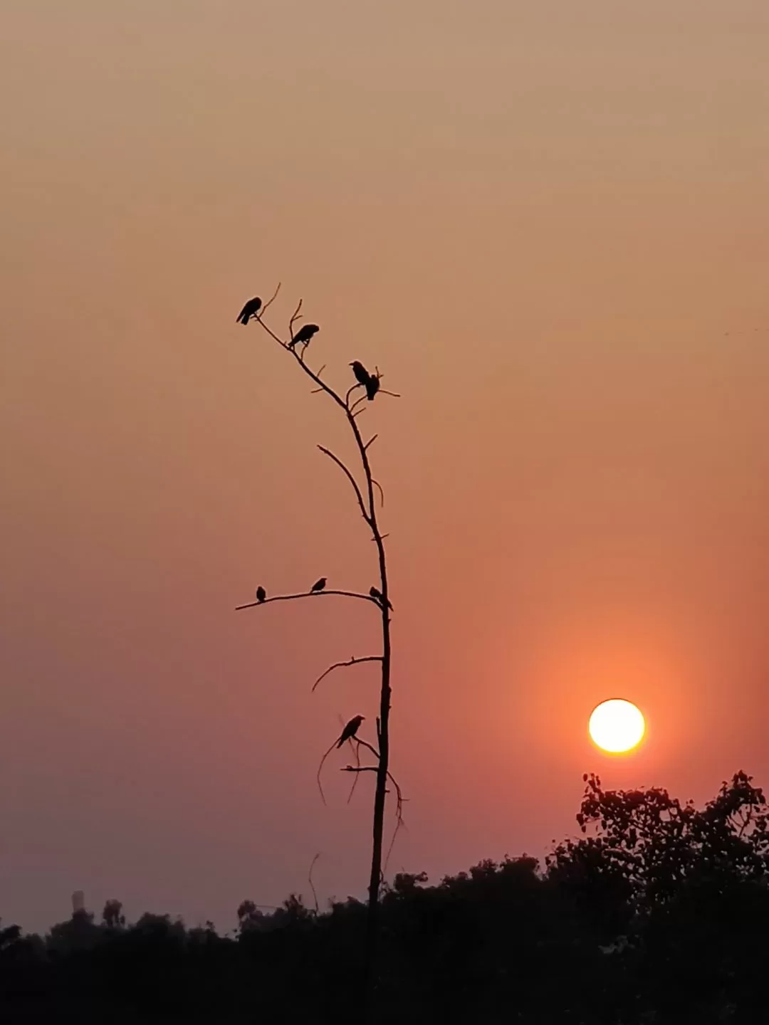 Photo of Delhi By vinay lohia